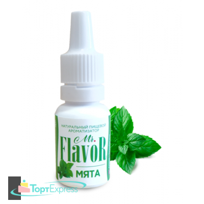Ароматизатор Mr.Flavor Мята 10мл